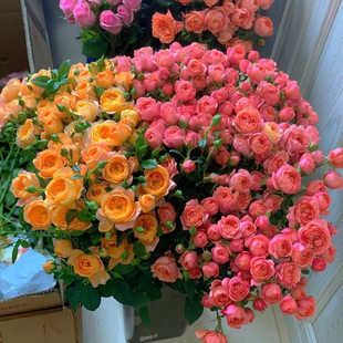 ���b���^õ���ɫ�ű��r�������������˹���ϻ���ֱ�lˮ�B�r�л�