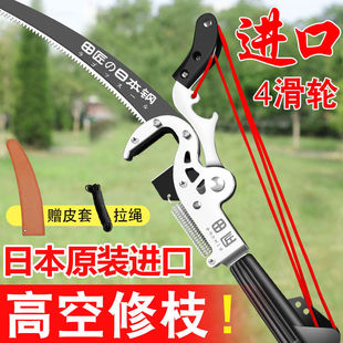 �ձ��M�ڸ�֦���߿���֦�����֦����ʡ�������ժ����֦�@�ֹ���