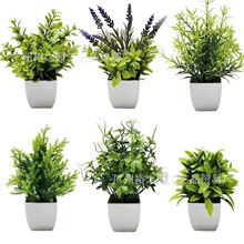 �������� �Ҿ��bGɫֲ�� ޹�²����Բ����k�����b��Ե���ֲ��