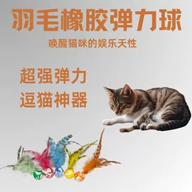 猫猫玩具;宠物周边用品;狗狗清洁