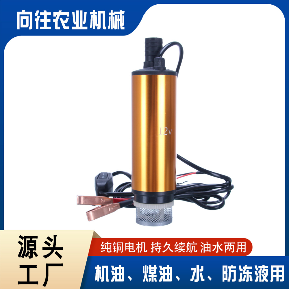 批发厂家12V油水两用泵抽水机抽油神器小型加油枪油抽子小油泵