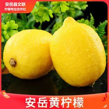 �����S���ʮa��ֱ�l�Fժ�������r����һ���̲���������l���|��֭