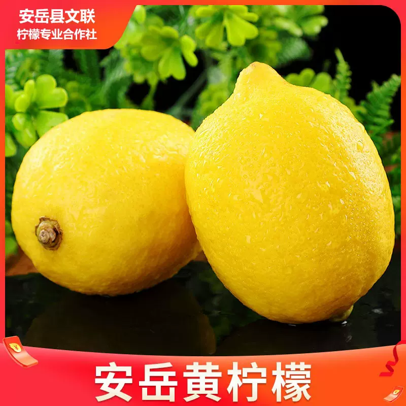 安岳黄柠檬产地直发现摘当季新鲜柠檬一级奶茶店商用批发优质多汁