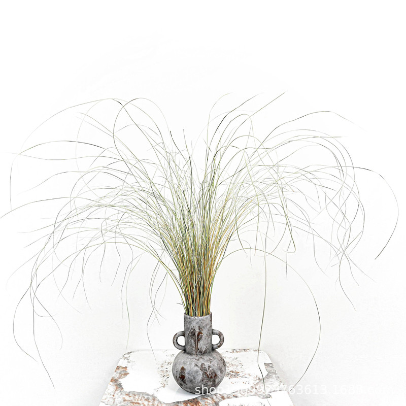 Narrow-Leaf Reed with Long Branches, Fairy Grass, Fine-Leafed Grass, Small Fresh Living Room Decoration, Natural Flower Arrangement Material