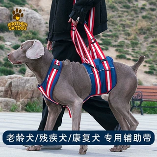 狗狗背带牵引腰带 受伤康复残疾狗助力带老年狗狗辅助带协助带