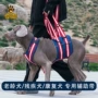 残疾牵引老年辅助背带