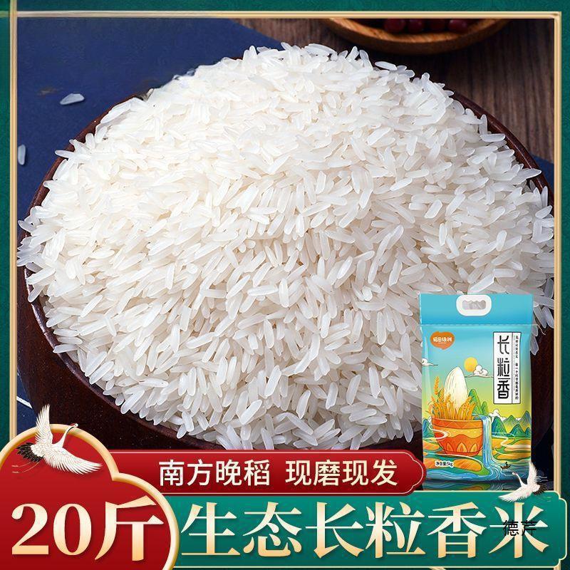 大米10一袋20斤长粒新米晚稻丝苗米蛋炒饭猫牙米煮饭10斤批发|undefined