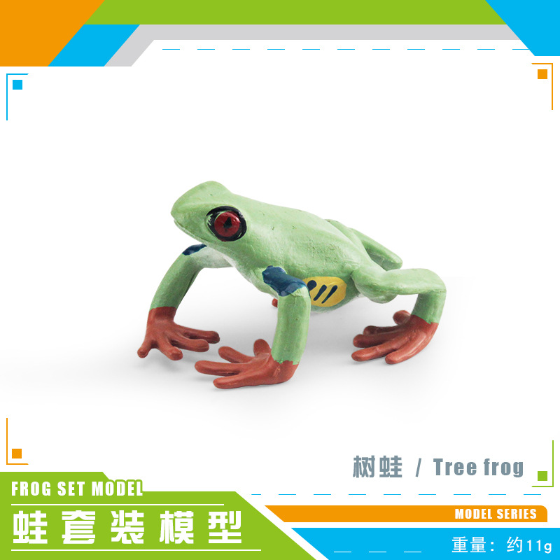Rana de árbol de BL-1331 11g
