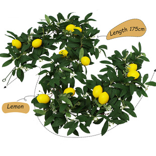 ���晎���ٗl ���R�d���ʼ��ܾGֲ�������������b� ���왎����