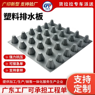 惠州黑色排水板卷材凹凸型塑料排水板阻根滤水地下车库虹吸排水板
