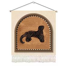 �첼��ʽ�͹�ɳ�l���Ҳ�ˇ�쮋������b�̺һ�����]һ������