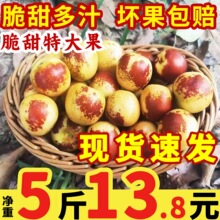 �F؛������󶬗�5������r�����ЋDˮ�����Ǵ����r���𗗰��]