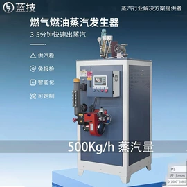 蒸汽发生器;加热器;电热器