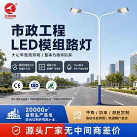 太阳能灯;道路照明灯;路灯