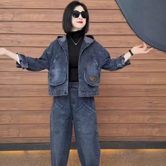牛仔连帽外套上衣加哈伦裤两件套装爆款春秋款外穿休闲中年妈妈装