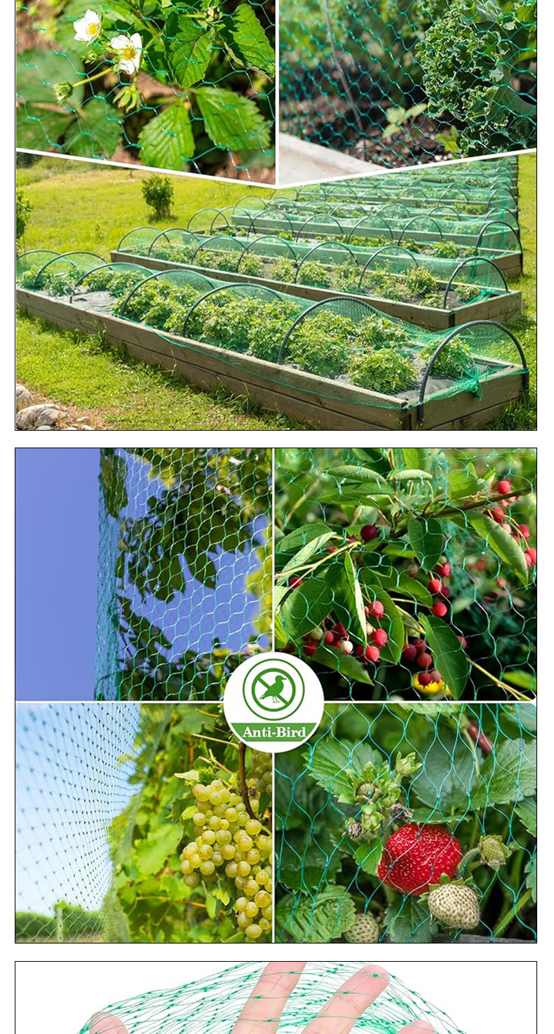 Image_1718707850724_06