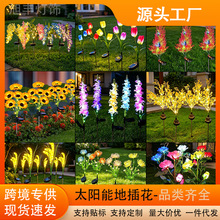 �羳����˰���õ�����տ����滨ͥԺ�b������ˮ̫��ܵز��