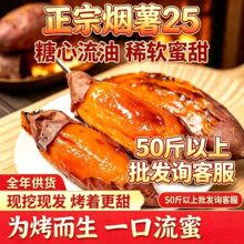 新鲜蜜薯糖心流油红薯山东烟薯25番薯沙地农科院紫薯烤地瓜批发