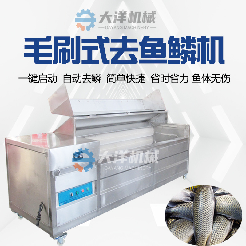 鱼鳞机全自动鲜鱼去鳞设备不锈钢鲫鱼脱鳞机半自动刀鱼清洗机器