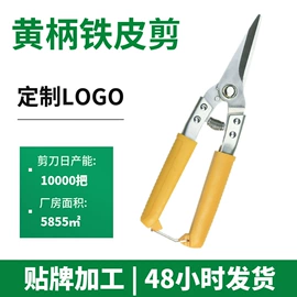 修枝剪;铁皮剪;其他钳类工具