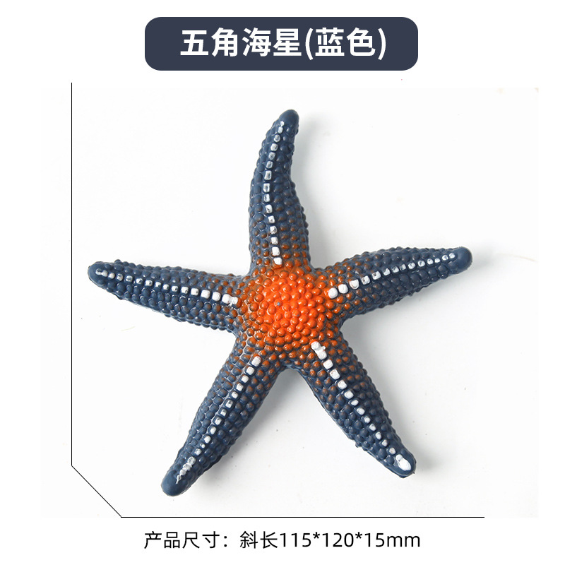 Étoile de mer Pentagramme [bleu]