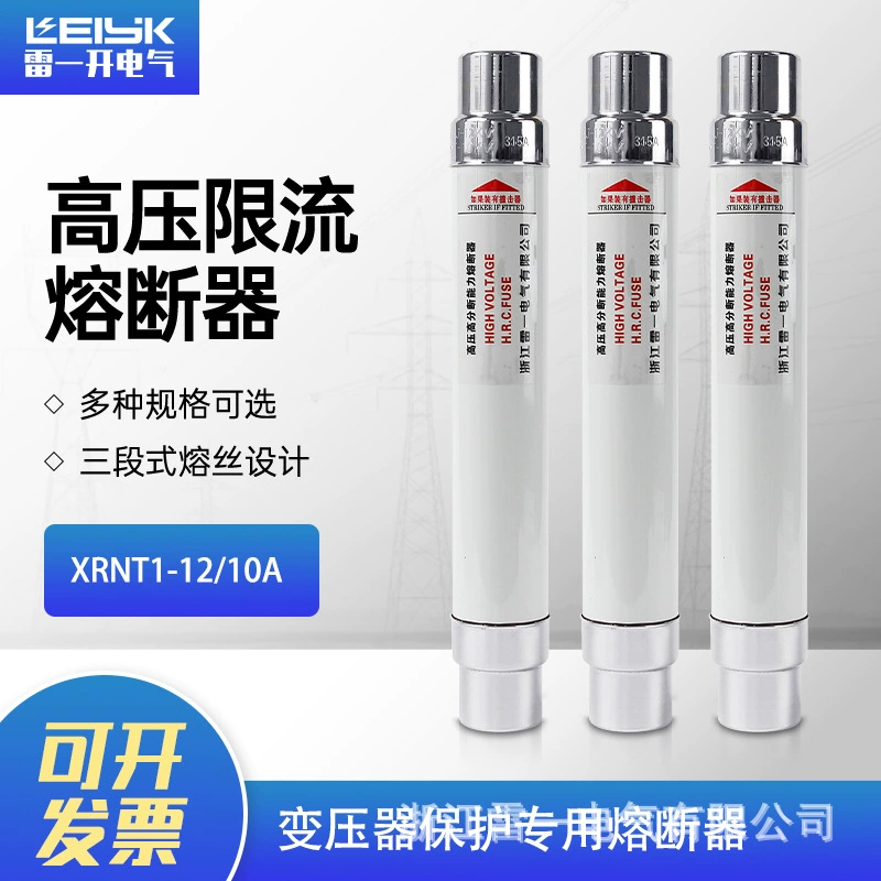 Зhejiang Leiyi высокотемповый предел мощности предохранитель XRNT1-12/25A защита трансформатора высоковольтный предохранитель