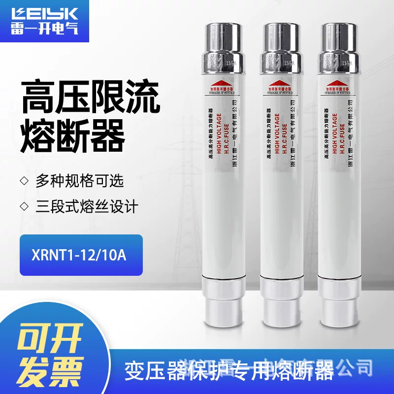 Зhejiang Leiyi высокотемповый предел мощности предохранитель XRNT1-12/25A защита трансформатора высоковольтный предохранитель