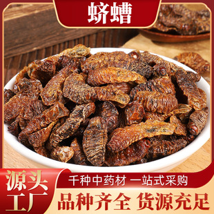 �� ϓ���Q�����Q�������x����ĸ�x�������Q��Έ�