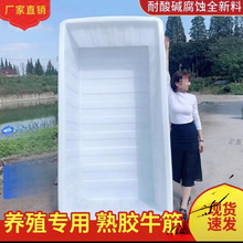 加厚牛筋塑料水箱长方形水产养殖养鱼卖鱼胶盆大水缸方桶储水桶