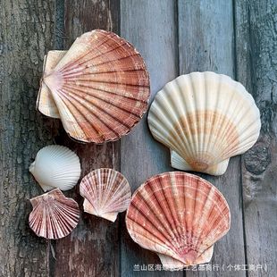 �ʺ���ؐ ��Ȼ����ؐ�� �ղؘ˱��[����ˇƷ�~��ˮ���쾰�b����l