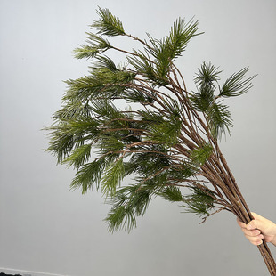 ������ᘁ��R�d�ɰ��~�L֧����҃ȷ���Gֲ�������֦��ʽ��ˇ