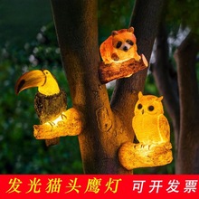 �l��С�B���������̫���ͥԺ�������W�^�����@���þ��^؈�^����