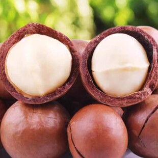 �����Ĺ�����ވԹ������޽Ӱ����V�����һ̖ͥԺ�����ļ��Nֲ