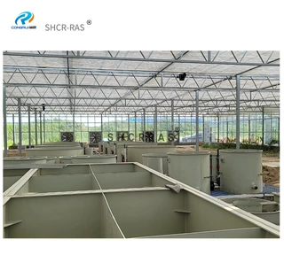 厂家现货供应PP酸洗槽水槽养鱼池电解槽硬度高耐酸碱抗老化PP水箱