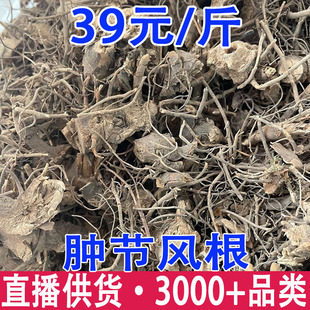 �Ź���� ��ɺ���� �[���L�� �Ź�ɏ�����l���l