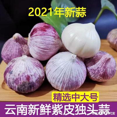 Yunnan Garlic 5 Dried Garlic Dali Purple single garlic Garlic Pleione Redskins Pleione