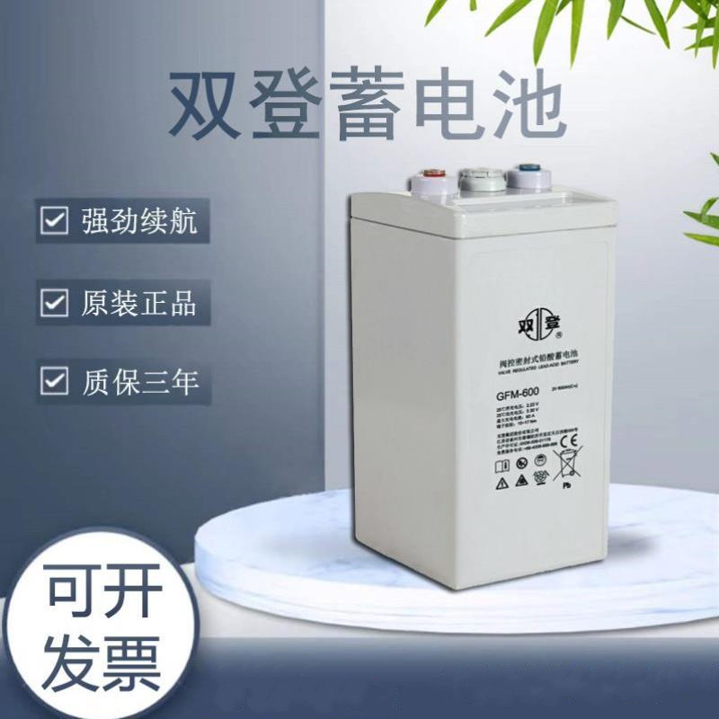 直流屏船舶机房太阳能shoto双登铅酸免维护蓄电池GFM-600/2V600AH