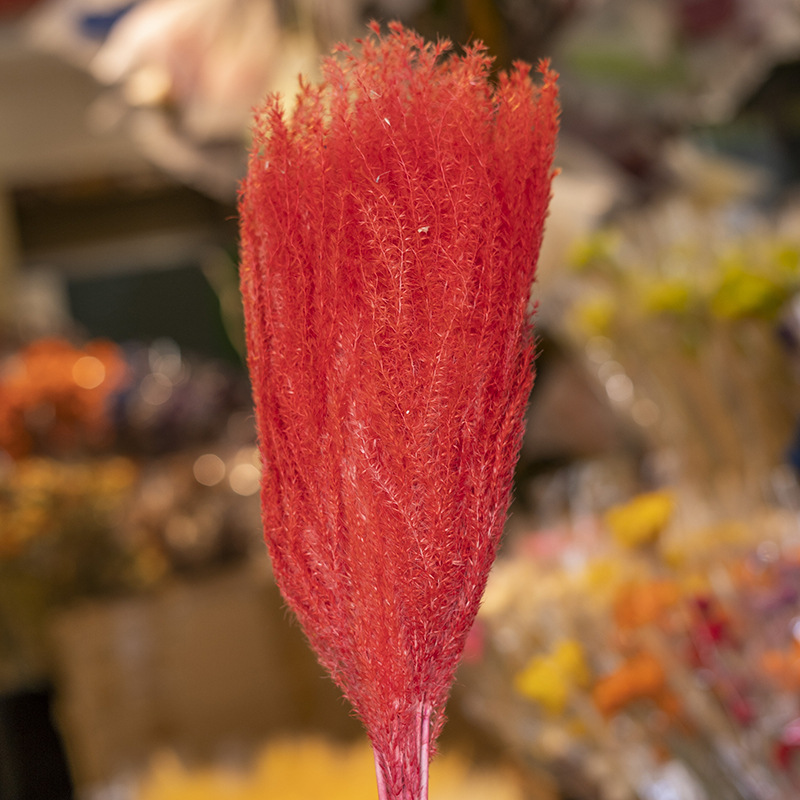 레드 (10 pts/묶음)