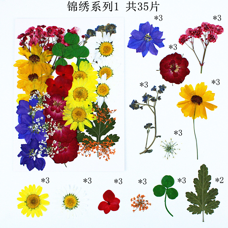 화려한 시리즈 조합 1