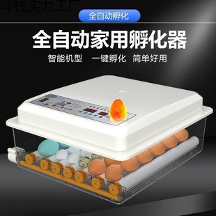 Automatic Small Household Intelligent Egg Incubator Household Rutin Small Egg Incubator for Duck and Goose