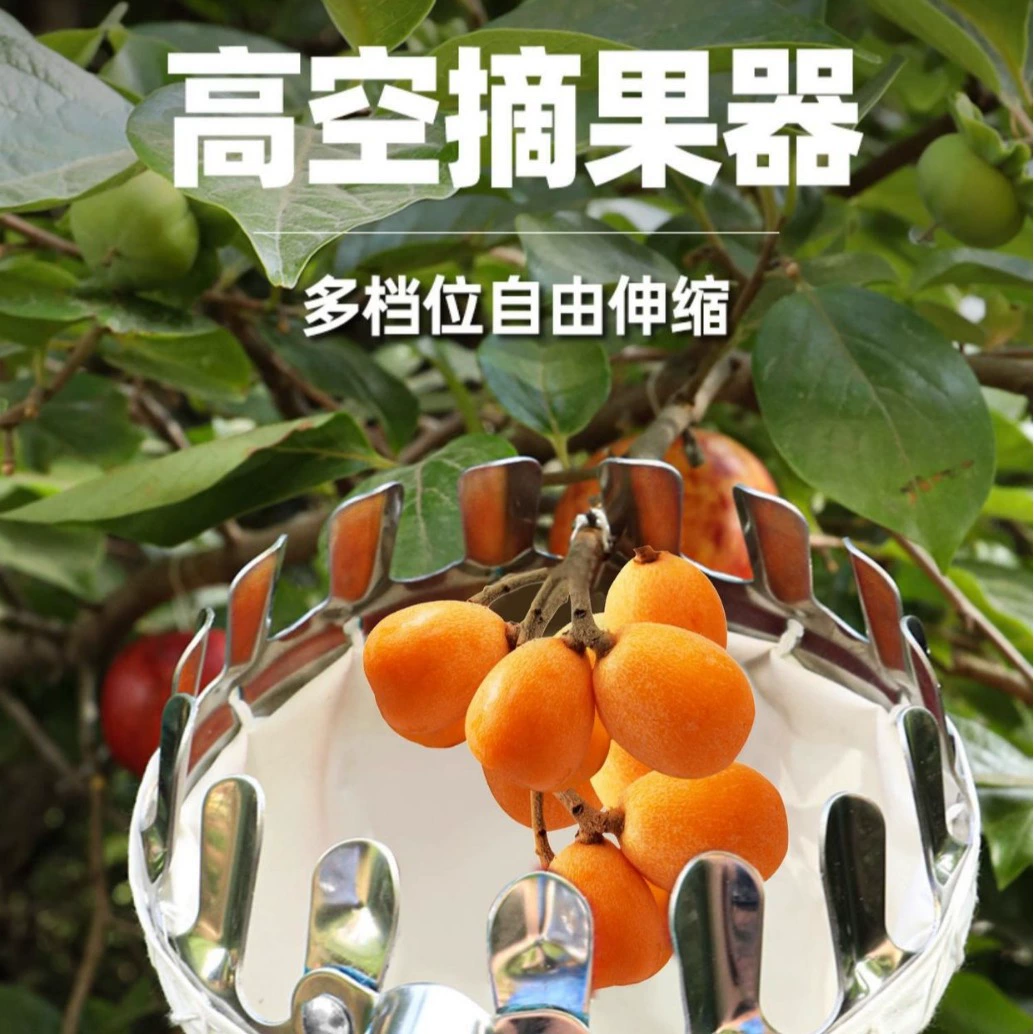 Зеленые леса собирают на больших высотах, режут и собирают фрукты, артефакт