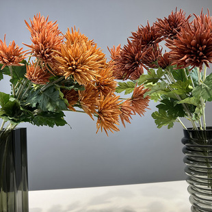 3�^���滨зצ�ս����ָб���߼ٻ��ɻ���צ�ջ�c�S��צ�վջ�