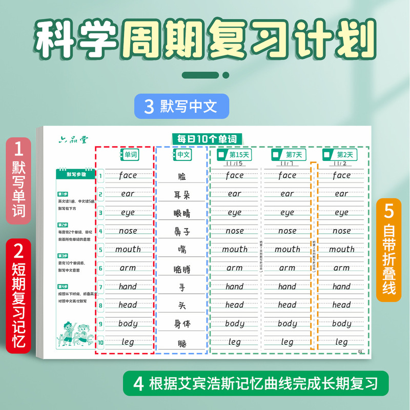 記憶吐語【小学校毎日10語】英語で単語を暗記し、毎日単語帳を暗記し、効率的に記憶する。|undefined