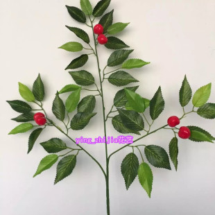 ��������~�٘����������~���~��֦�~�@�ֲ廨��@���~�ӆ�ֻ/��