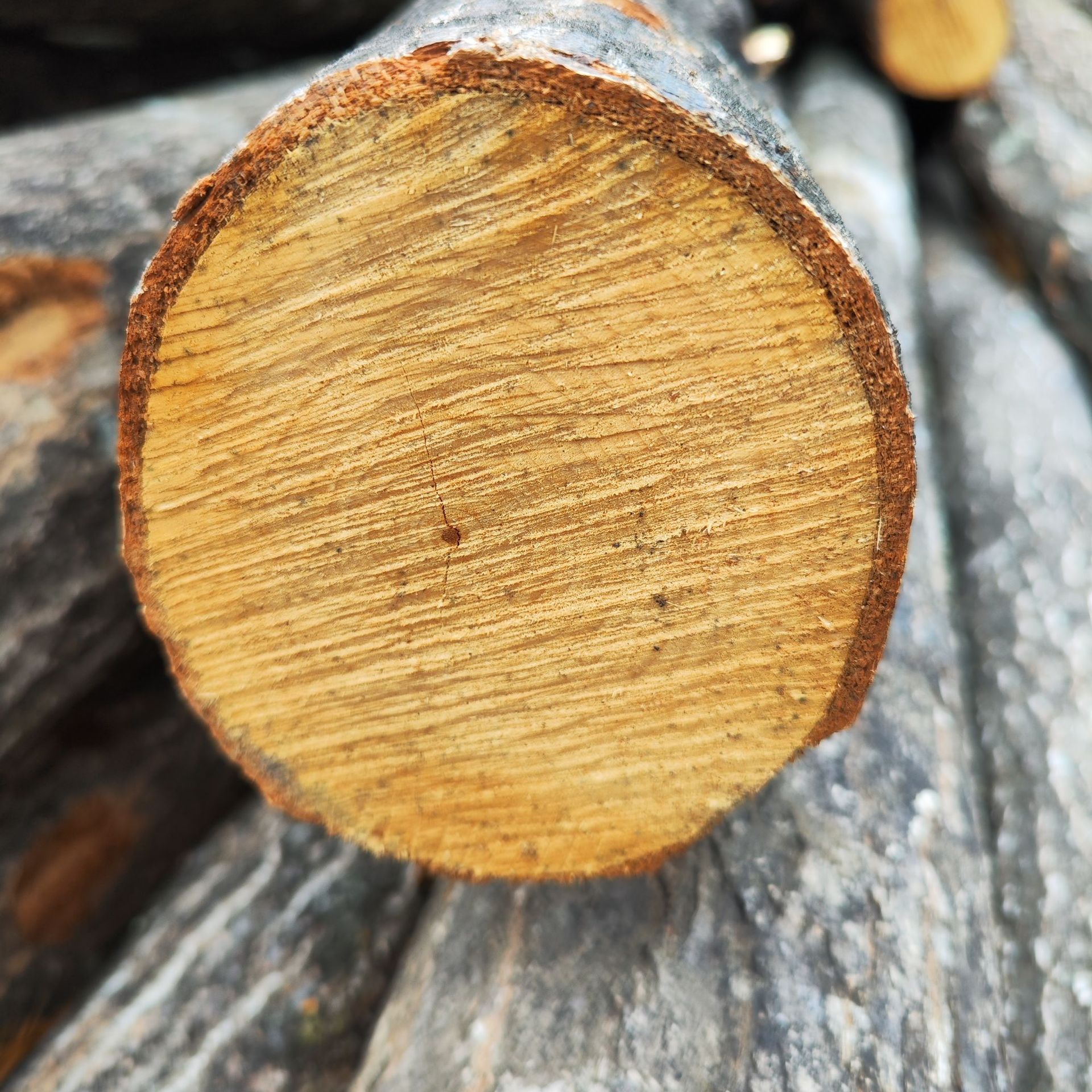 f1a6ed314b198fbae0506e2aef4521