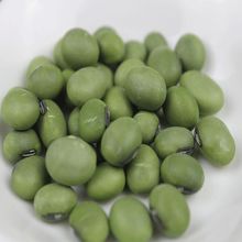 ´ඹ250g5rԷN󶹸ඹGƤʴS