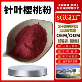 针叶樱桃果粉26%维生素C针叶樱桃提取物水溶性樱桃粉当天发货标品