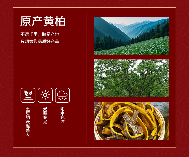 Huang Bai Powder Phellodendron Bark 500g Sichuan Dried Herb Powder key features