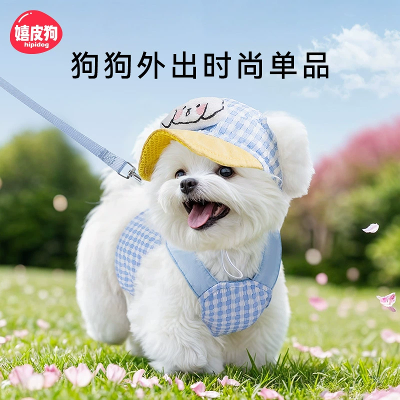 Новая собака выходит на рюкзак поводок