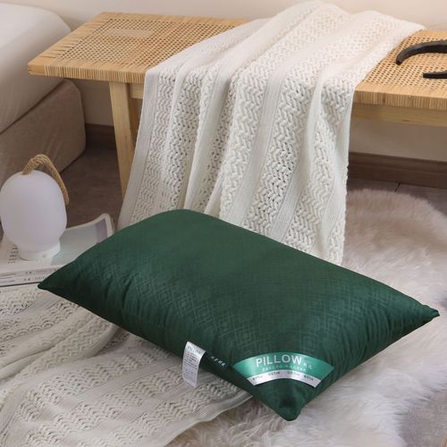 新款枕头枕芯一对装家用可水洗高回弹护颈枕学生宿舍单只枕头套装
